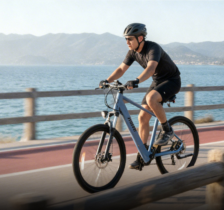 Electric Bike