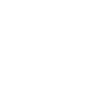 Custom Logo